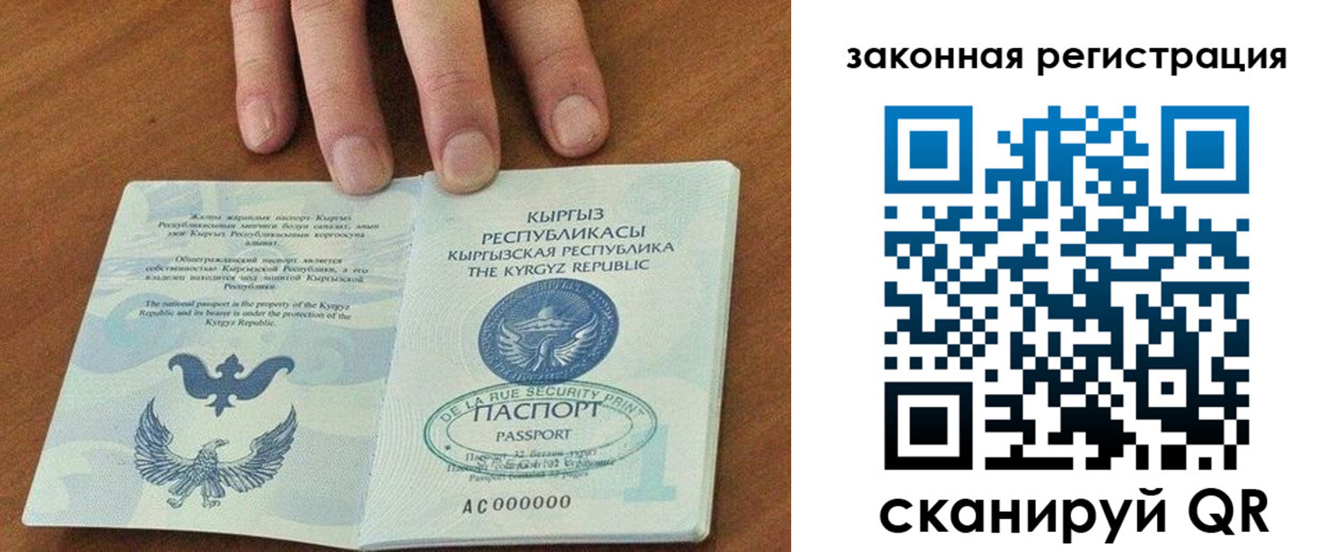 прописка гарантия в Ярославской области